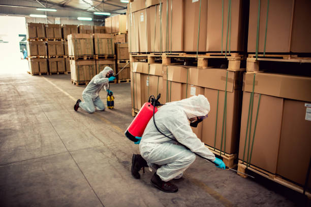 Best Flea Control Services  in Wolverine Lake, MI