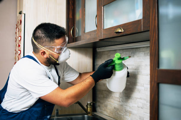 Best Wasp Removal Services  in Wolverine Lake, MI
