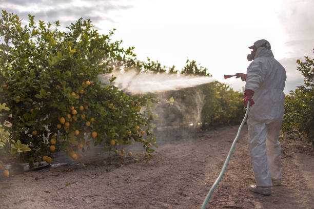 Best Cockroach Control Services  in Wolverine Lake, MI