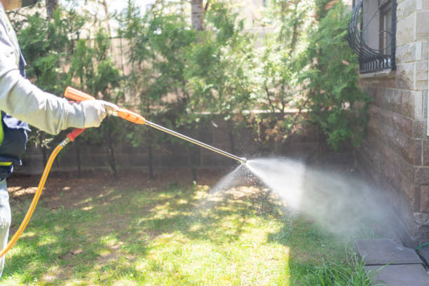 Best Best Pest Control Companies  in Wolverine Lake, MI