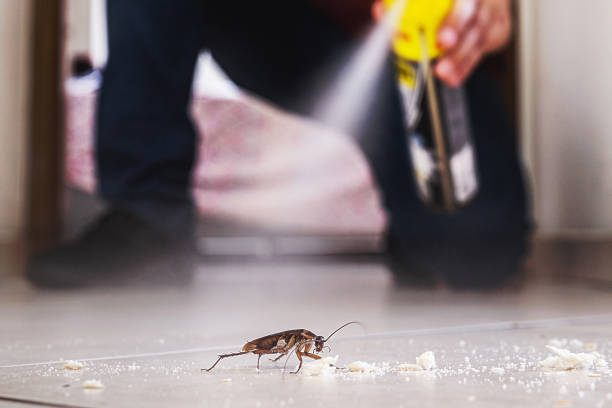 Best Wildlife Control Services  in Wolverine Lake, MI