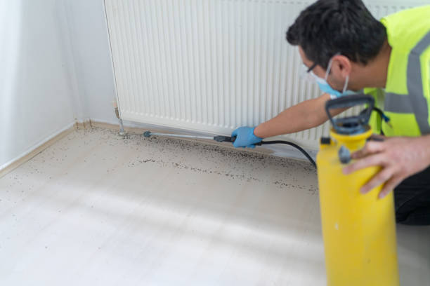 Best Bed Bug Extermination  in Wolverine Lake, MI