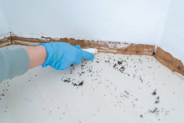 Pest Control for Restaurants in Wolverine Lake, MI